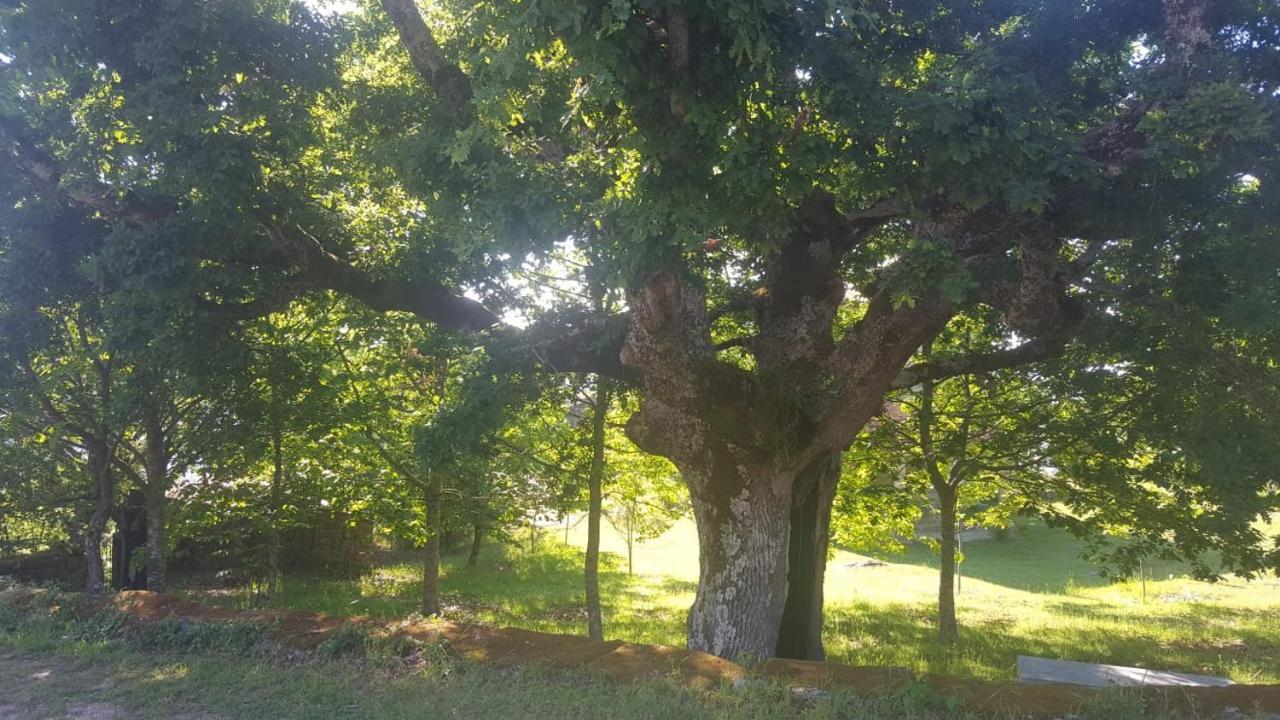 Casa Eiro Villa Lobios Bagian luar foto